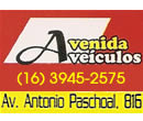 AVENIDA VEÍCULOS