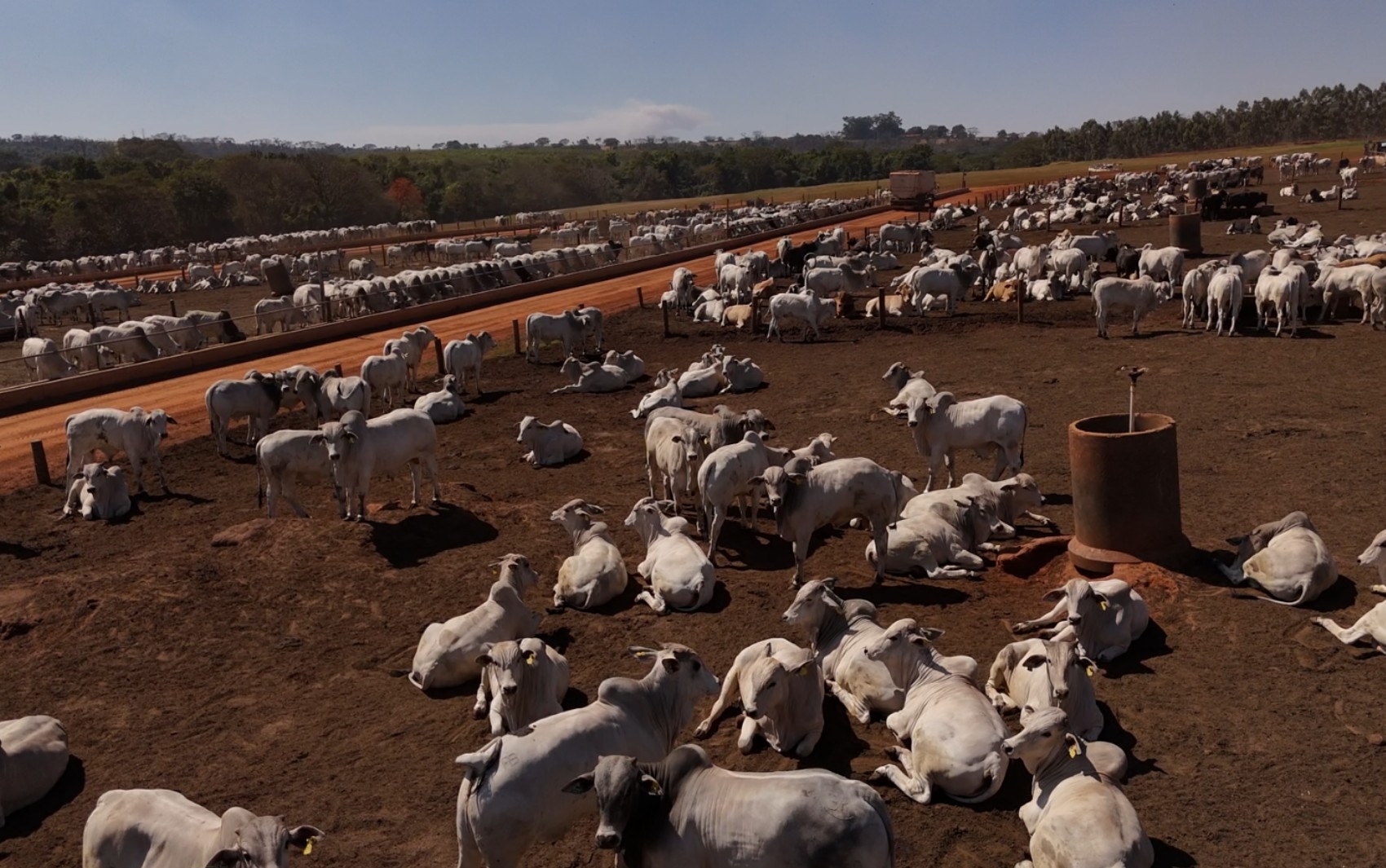 foto Notícia Sertãozinho