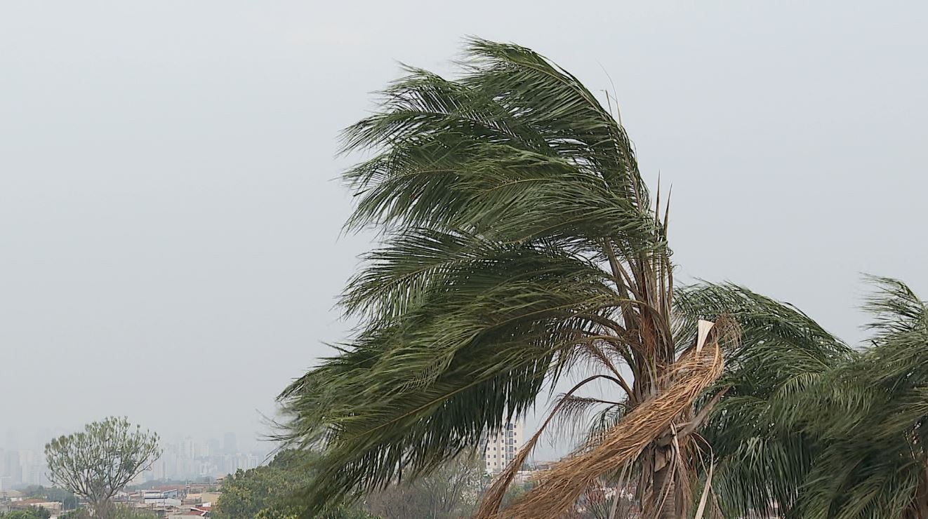 foto Notícia Sertãozinho