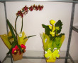Orquidea e Cala